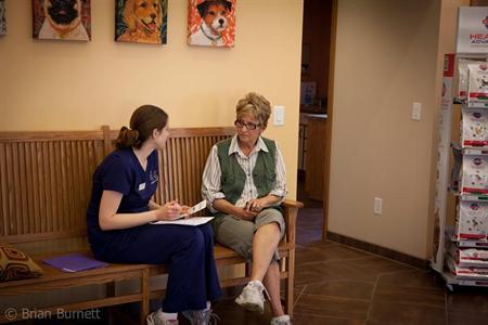 Northgate Pet Clinic & Veterinary Dentistry Check-In