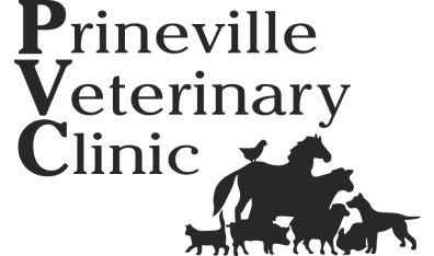 Prineville Veterinary Clinic Logo