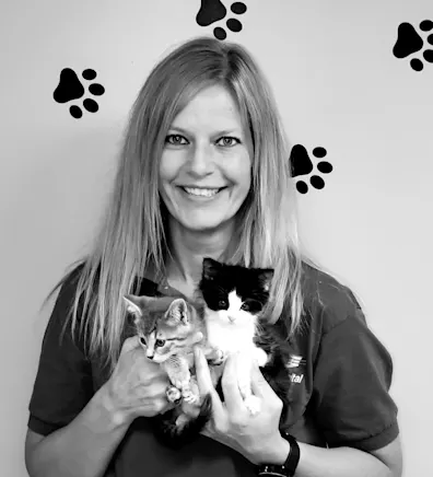 Stephanie's staff photo from Peotone Animal Hospital