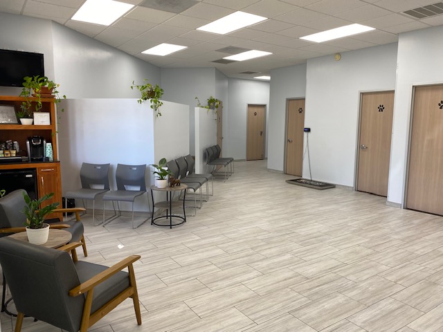 Waiting room at Bay Glen Animal Hospital