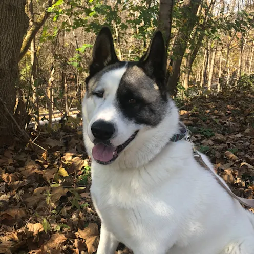 Grace Dellaquila Grace Dellaquila