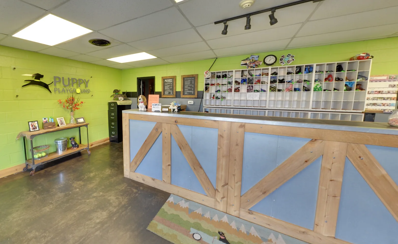 Puppy Playground in Indy interior Puppy Playground in Indy interior