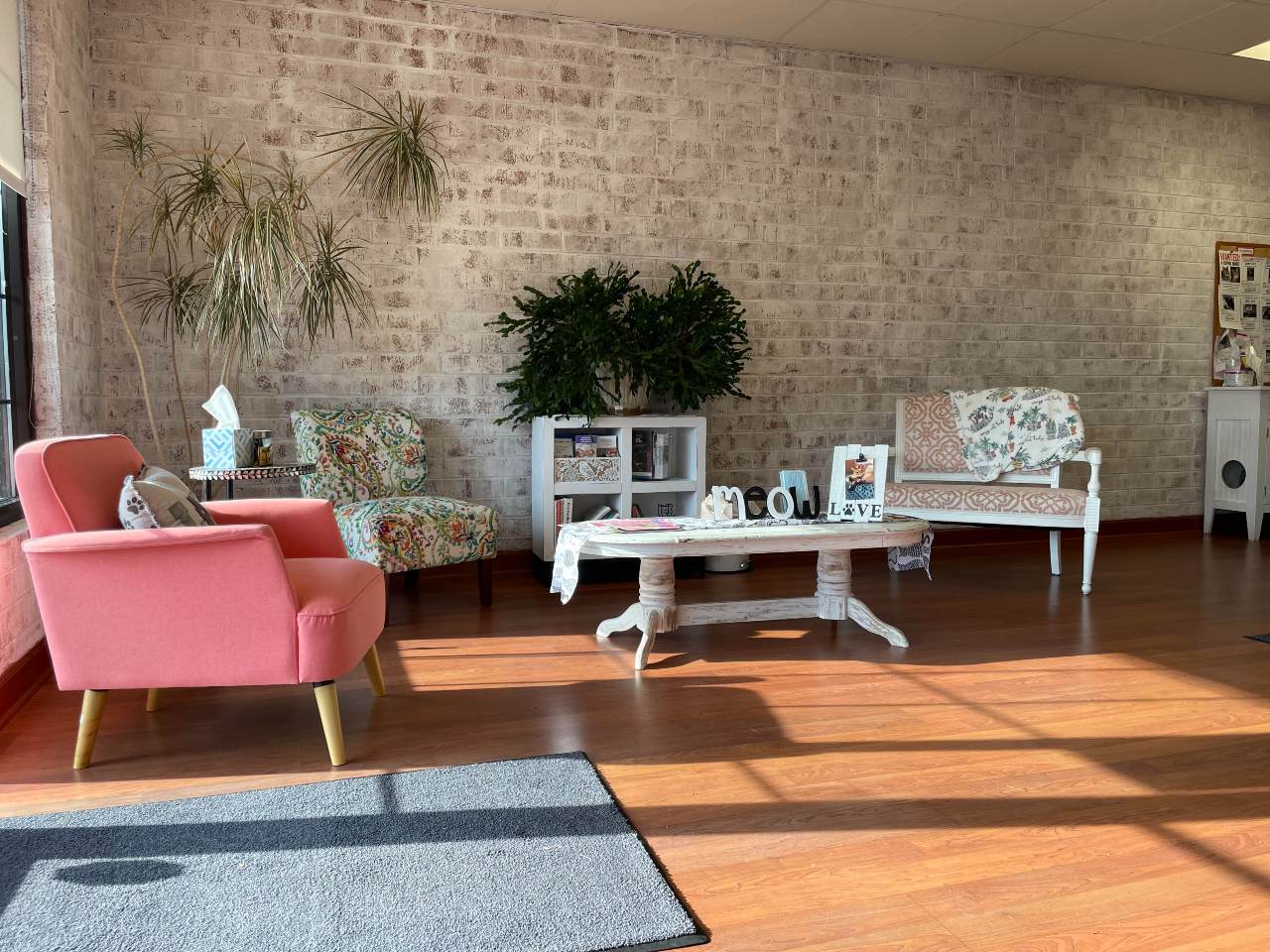 Reception Area at Cat Clinic of Greensboro