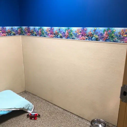 Vacation on the Reef 5 facing wall Vacation on the Reef 5 facing wall