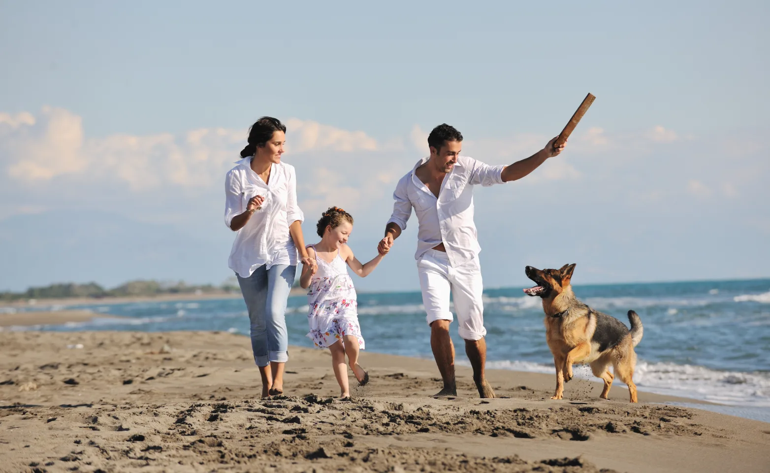 Dog with family running on the beach.