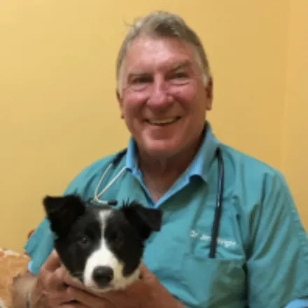 Dr. Jim Wright's Staff Photo from Calabasas Animal Clinic 