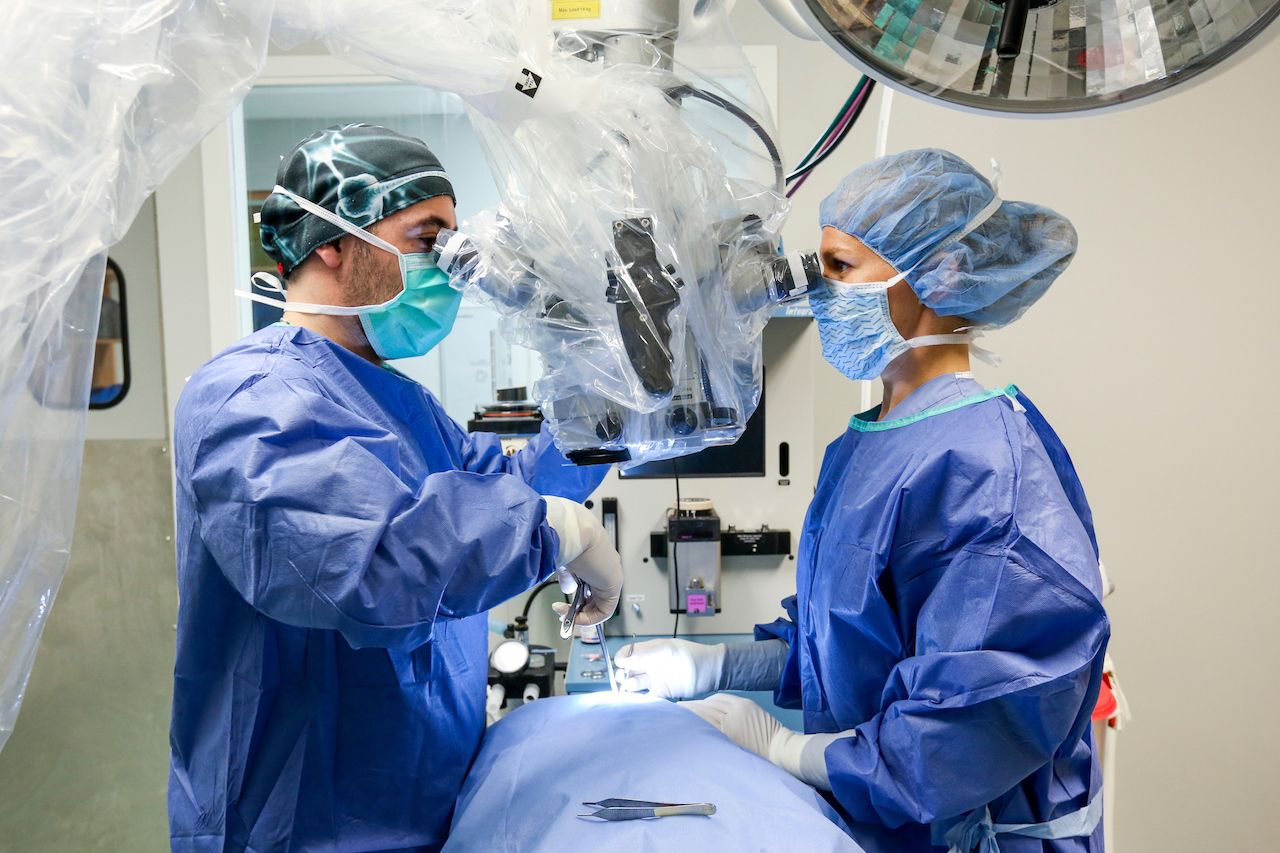 Surgery at Animal Specialty Center