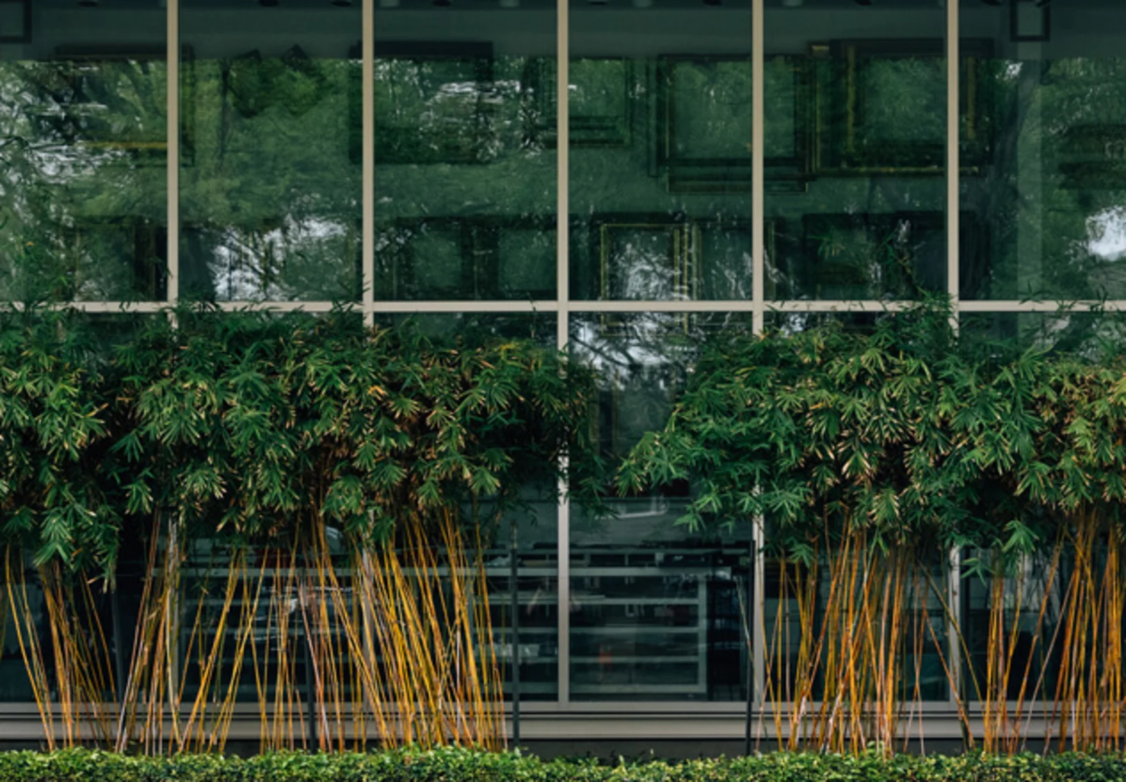 exterior of a museum in Houston, TX