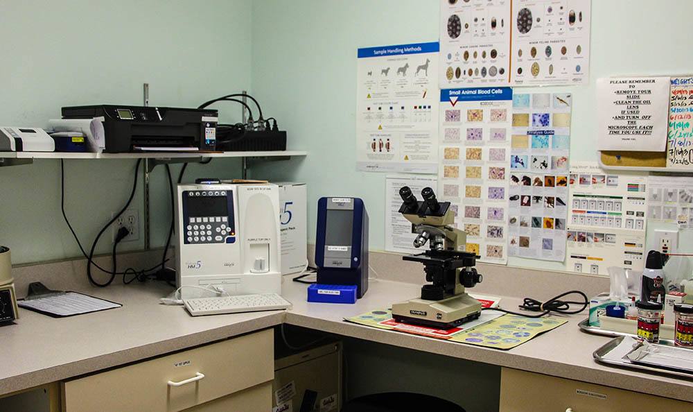 Linda Mar Veterinary Hospital Laboratory area and lab equipment