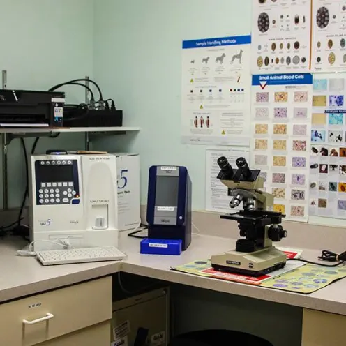 Linda Mar Veterinary Hospital Laboratory area and lab equipment