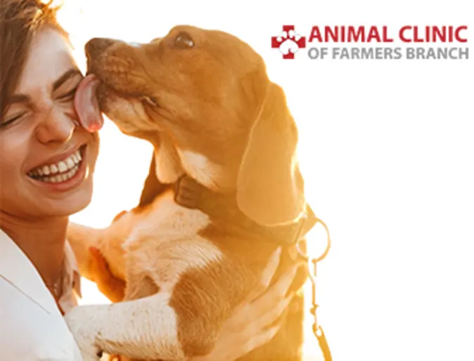 20% off promotion for microchipping 20% off promotion for microchipping