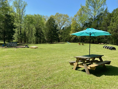 Park bench and umbrella at the dog park.