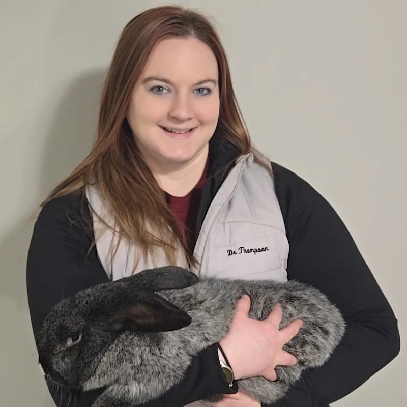 Dr. Kelly Thompson Dr. Kelly Thompson