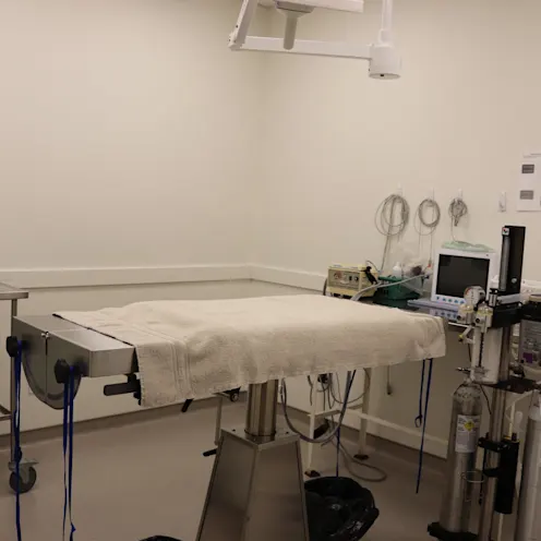 Surgical Suite Surgical Suite