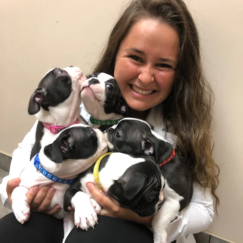 Dr. Brittany Hammer Dr. Brittany Hammer