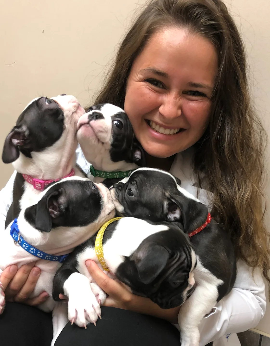 Dr. Brittany Hammer Dr. Brittany Hammer