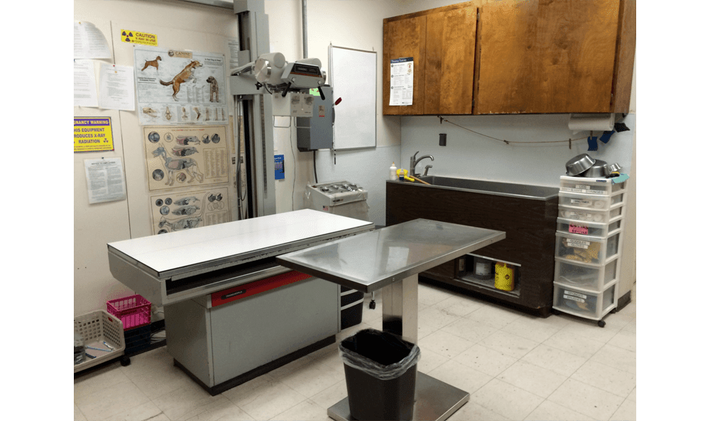 exam room with tables and medical equipment at East Ventura Animal Hospital