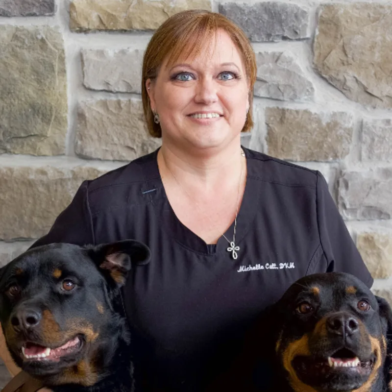 Michelle Cutt Michelle Cutt