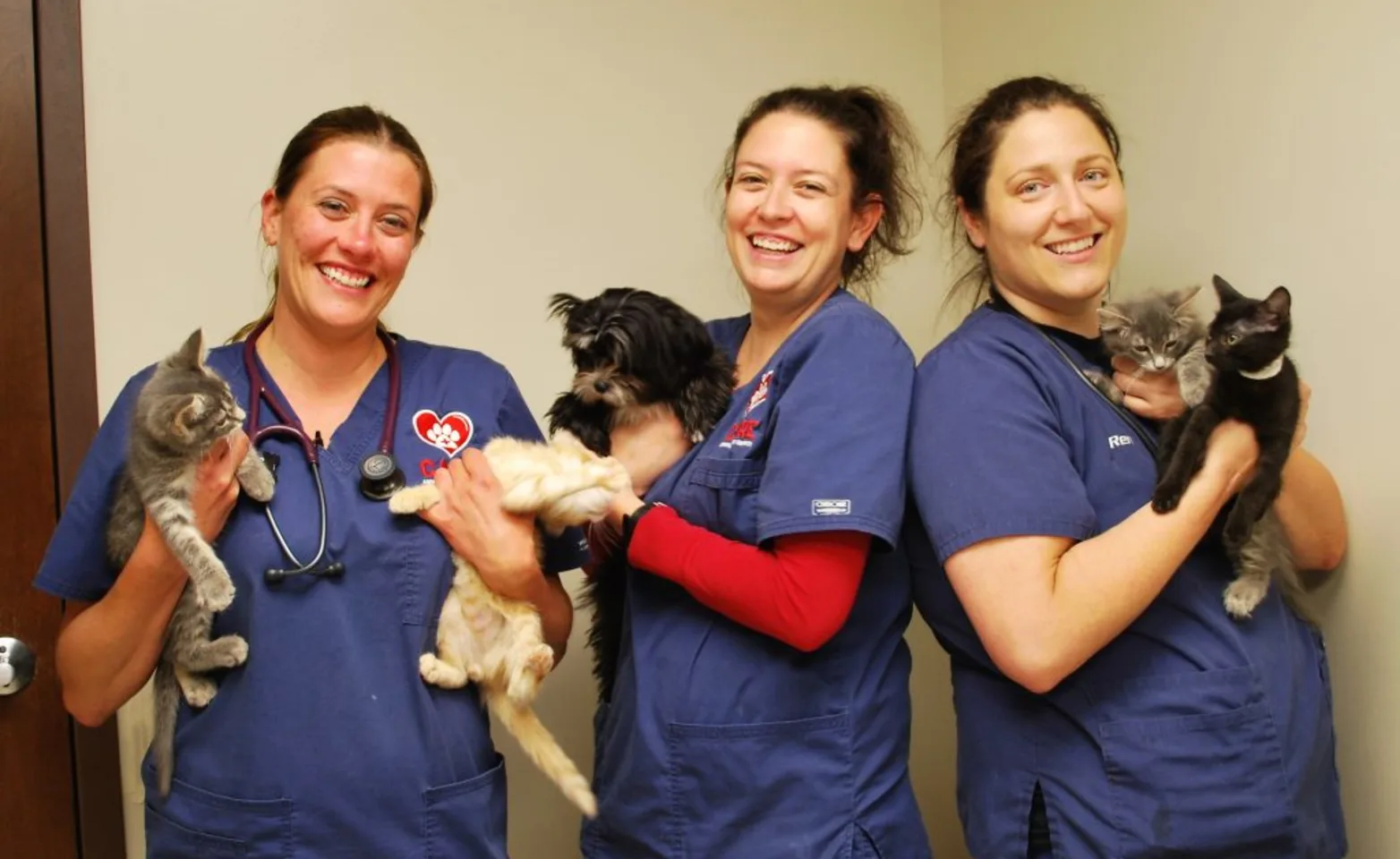Three Animal Medical Center staff members holding kittens while smiling at the camera Three Animal Medical Center staff members holding kittens while smiling at the camera