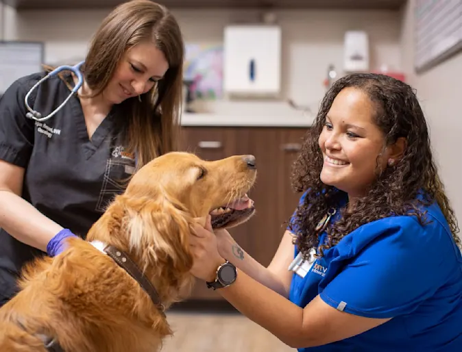 Dr. Howard and Technician with Patient