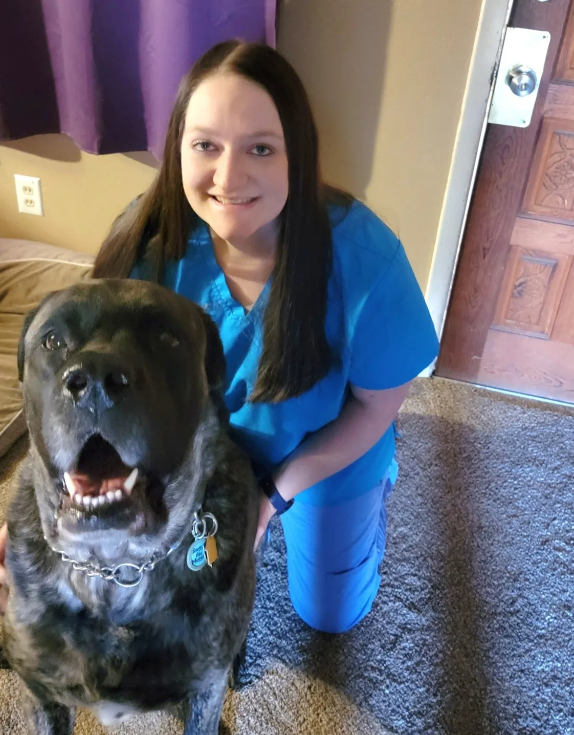 Molly of Grandview Veterinary Clinic Molly of Grandview Veterinary Clinic