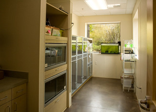 The Center for Bird and Exotic Medicine Reptile Boarding