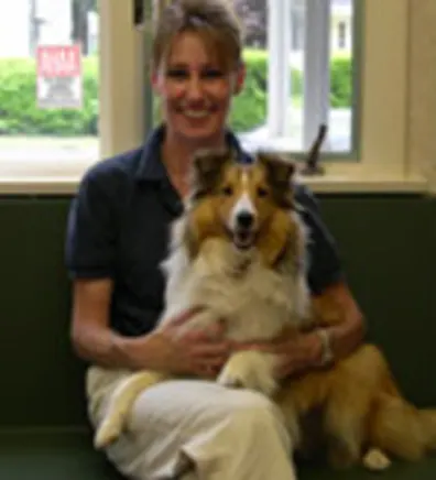 Robin sitting on a bench inside, in front of a window, while holding a dog Robin sitting on a bench inside, in front of a window, while holding a dog