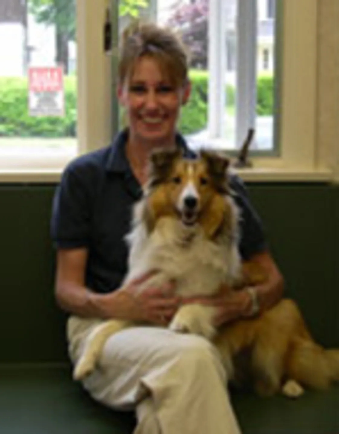 Robin sitting on a bench inside, in front of a window, while holding a dog Robin sitting on a bench inside, in front of a window, while holding a dog