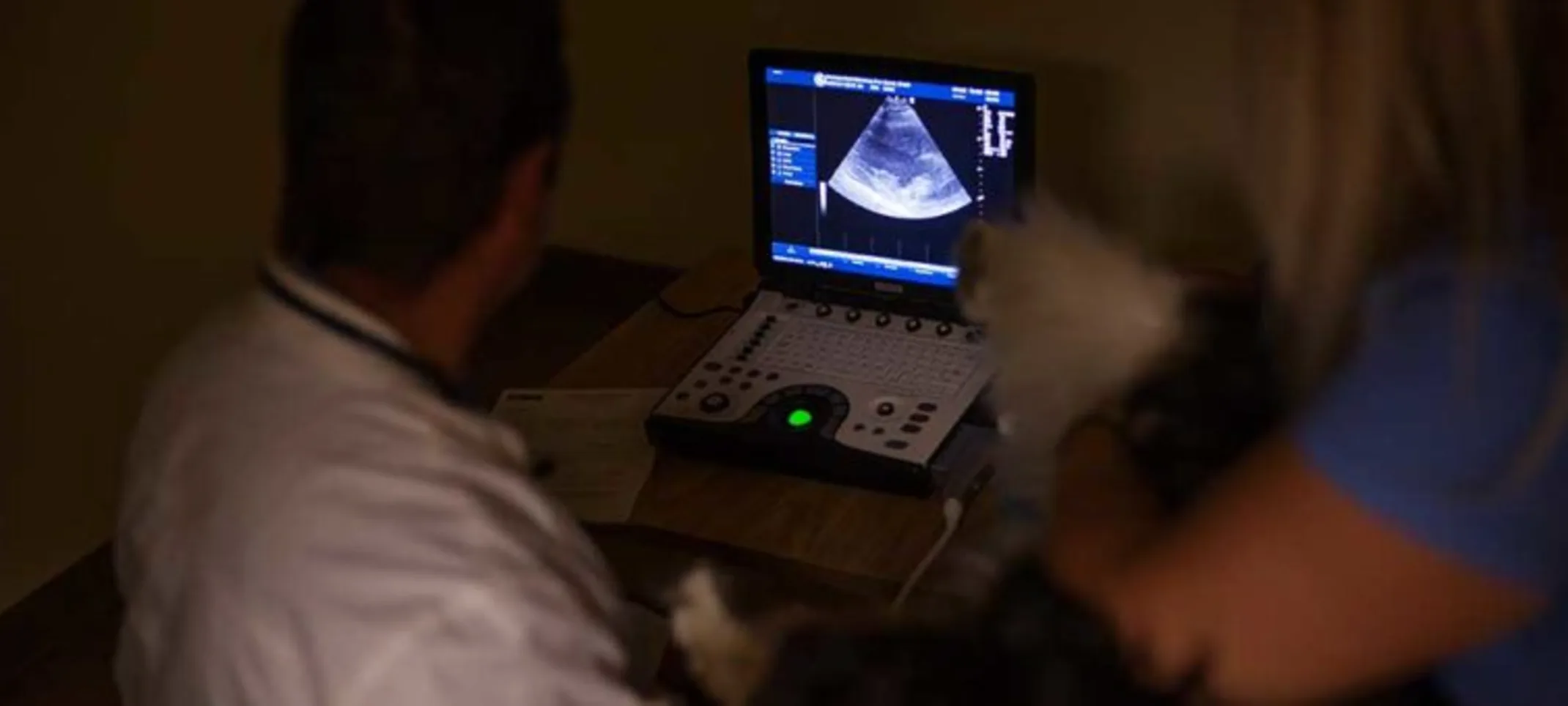Two staff members preforming an ultrasound Two staff members preforming an ultrasound
