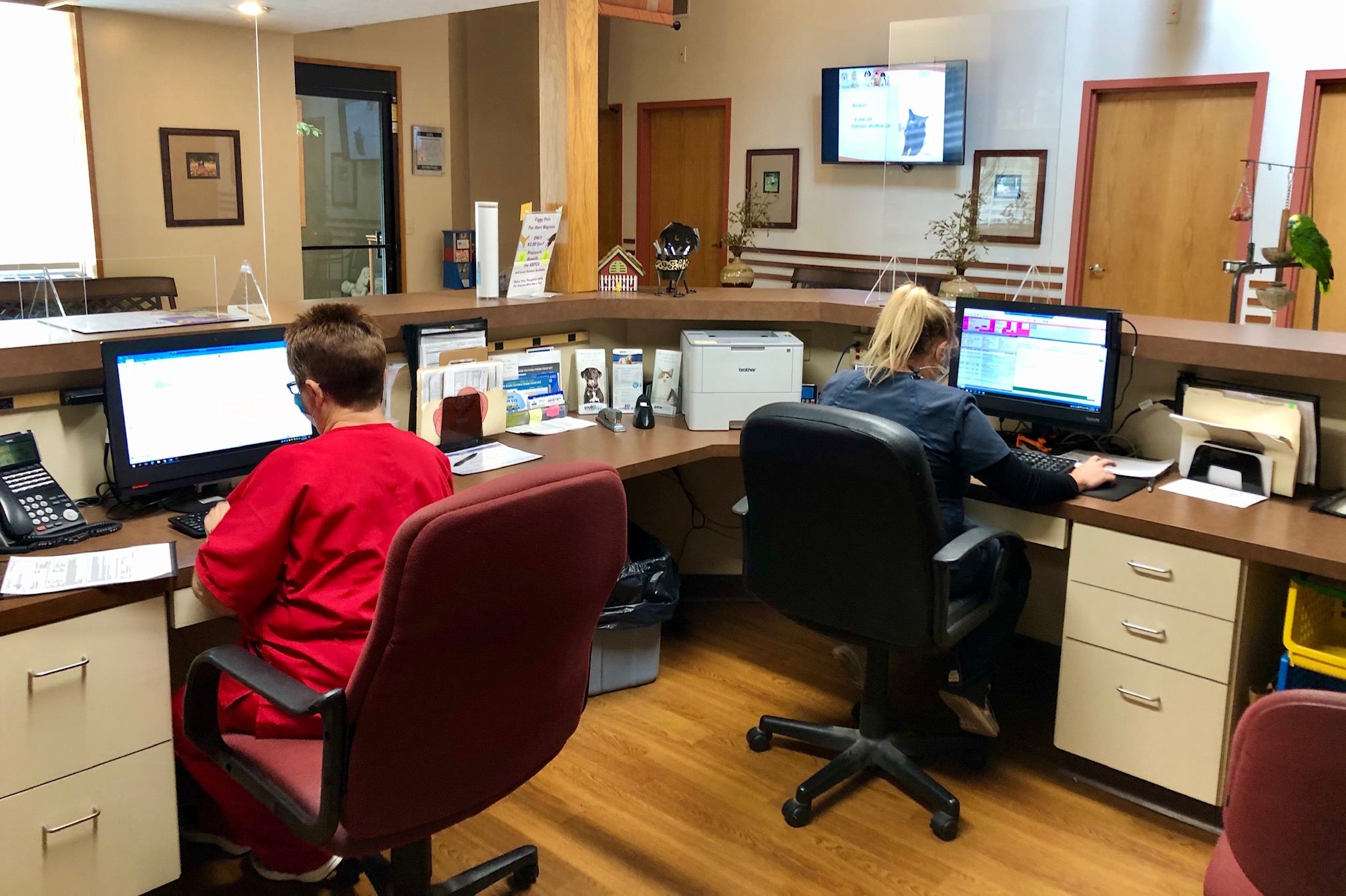  Jefferson Road Animal Hospital 0404 - Reception (2)