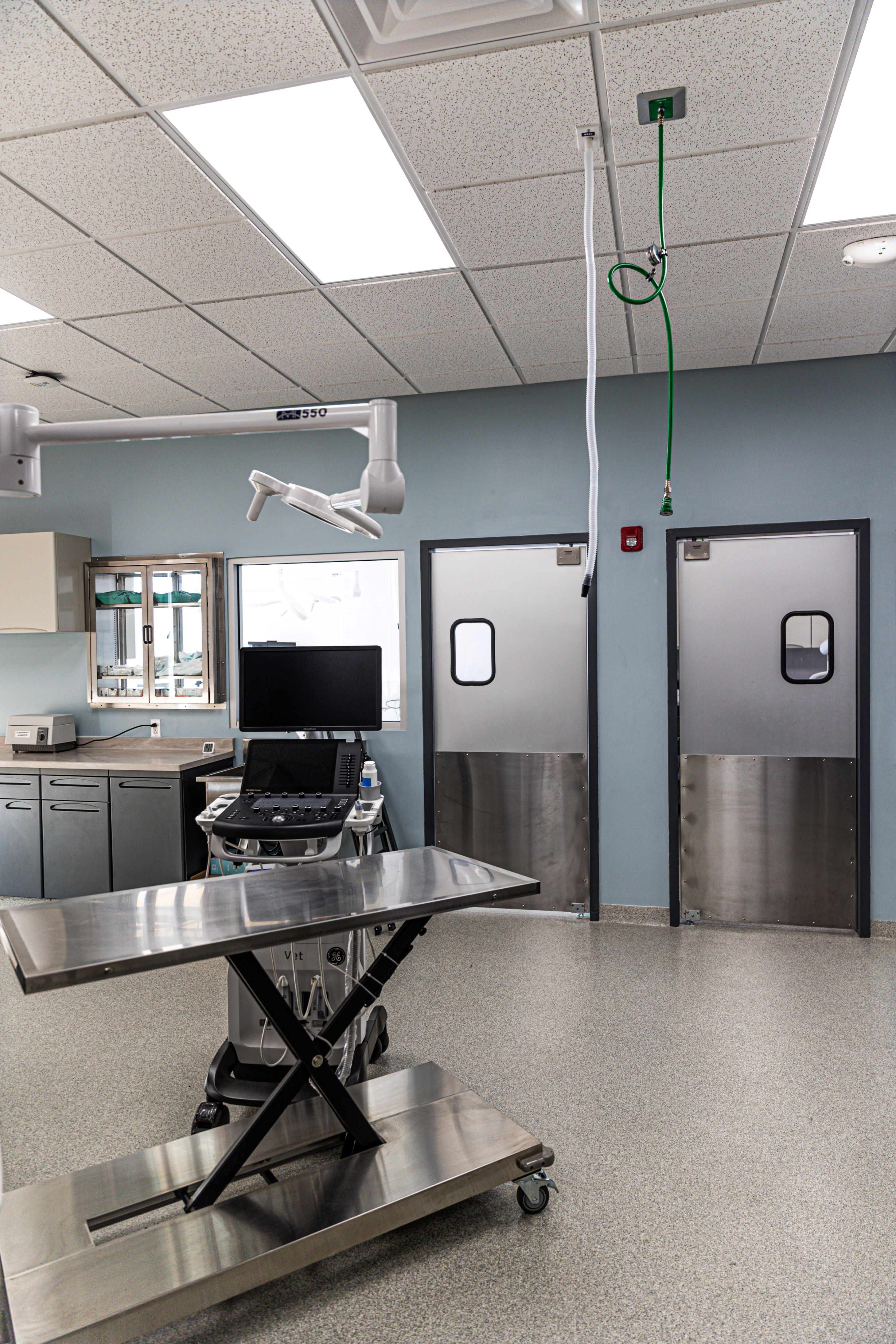 Ultrasound Area at ABQ Petcare Hospital