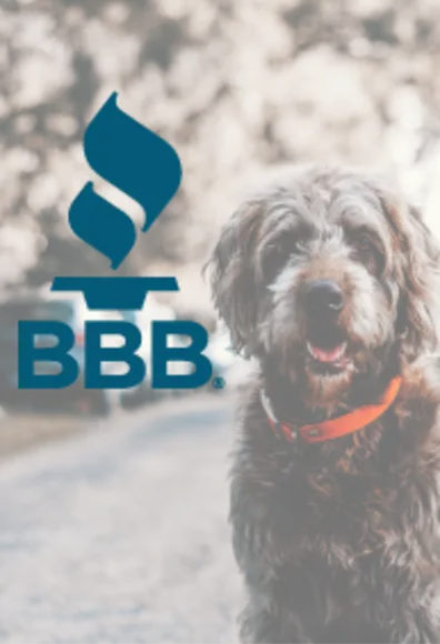 Better business bureau certified Better business bureau certified