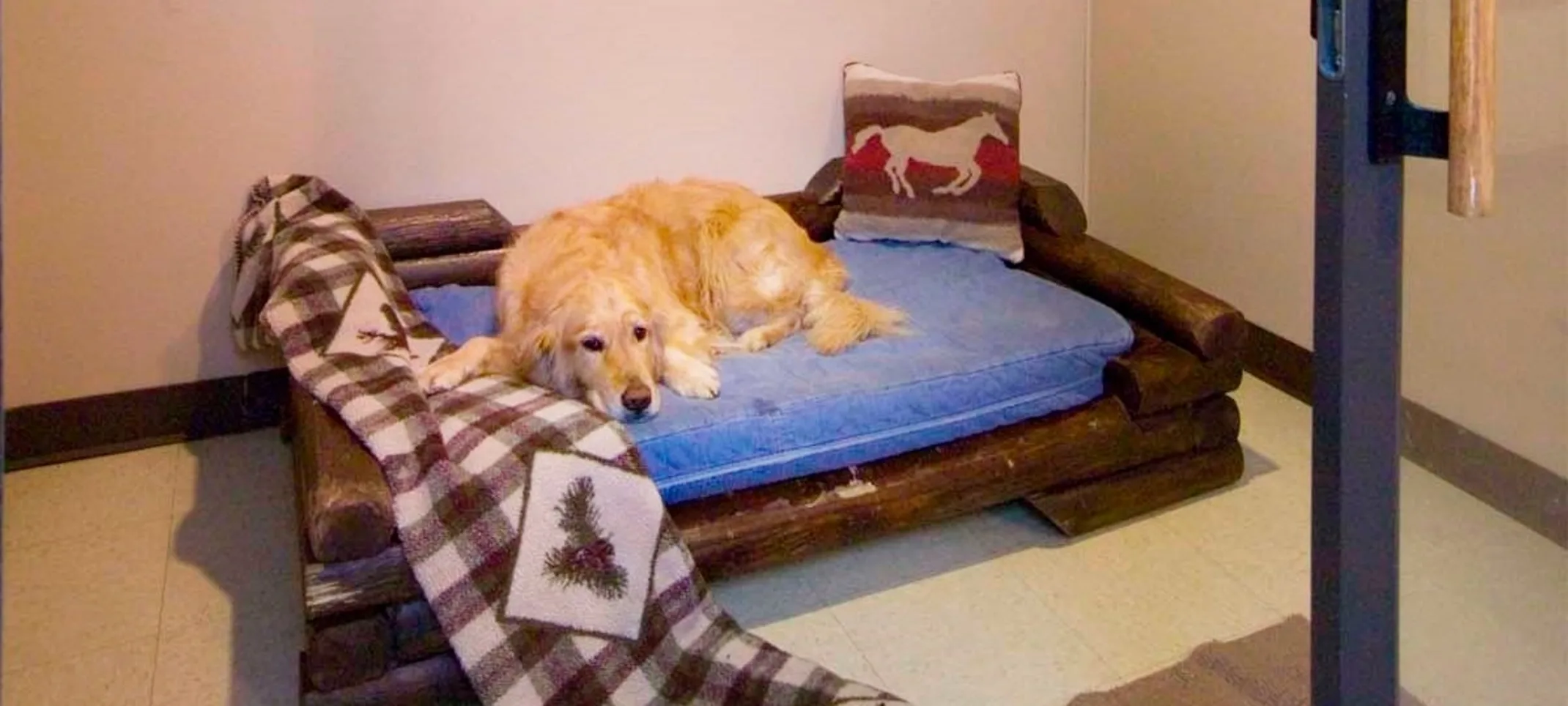 Retriever laying down on lincoln log style bed