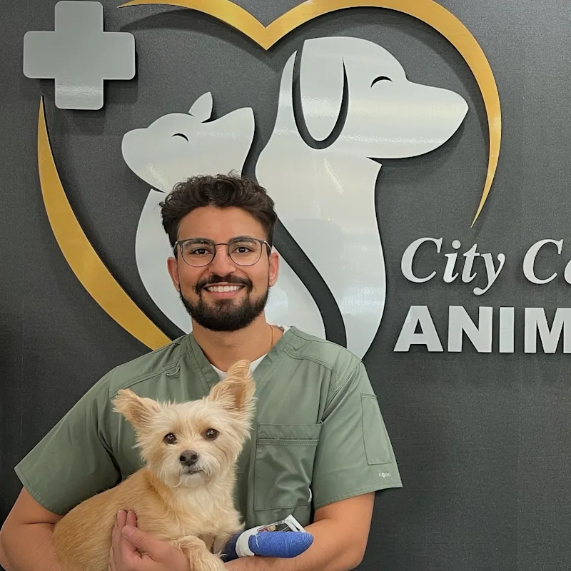 Dr. Sukhjinder Rehal Dr. Sukhjinder Rehal