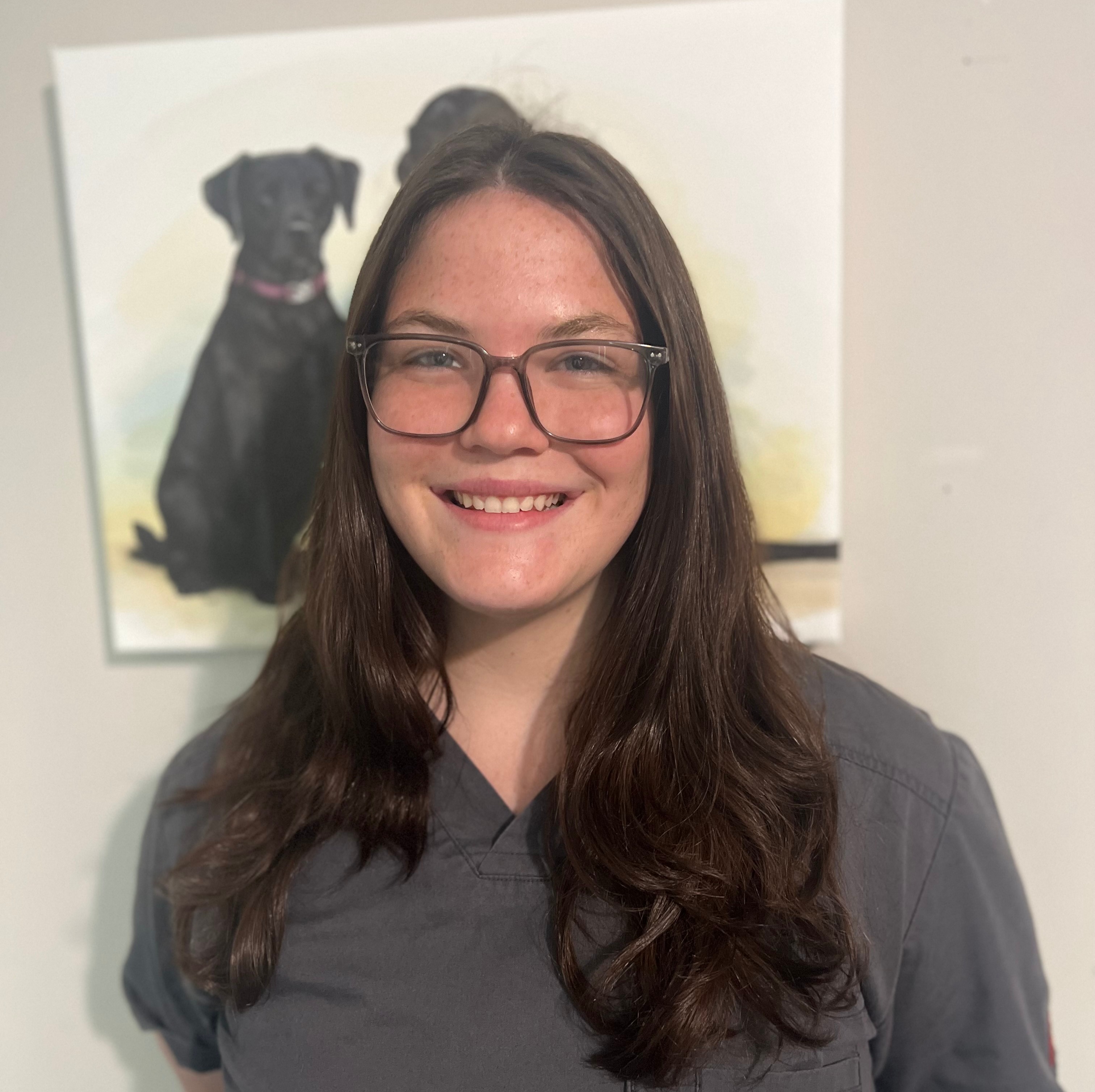 Kara Hidden Valley Animal Hospital Missouri