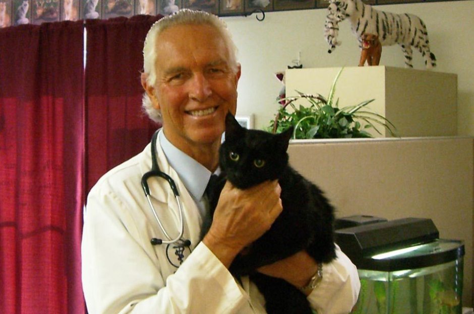 Mugsby a very happy cat