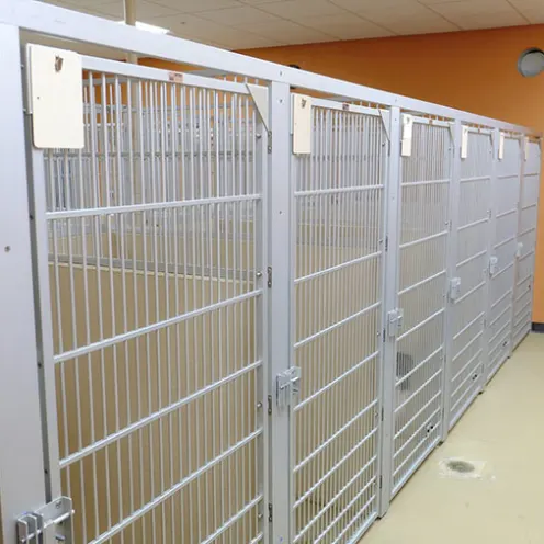 Clean, large dog kennels at Metzler Veterinary Hospital 