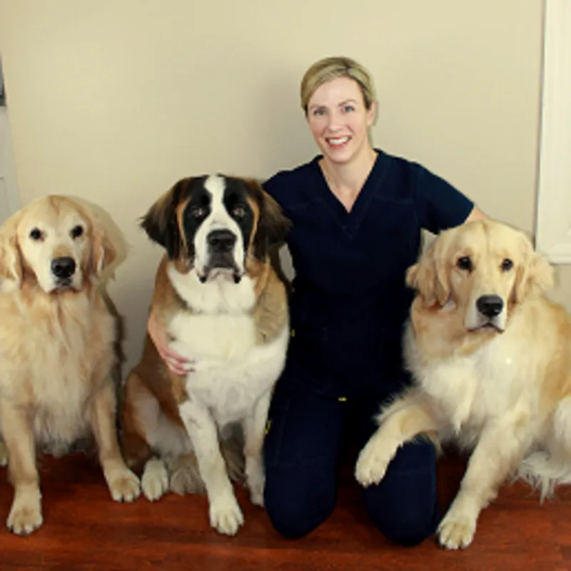 Katie Larson Katie Larson