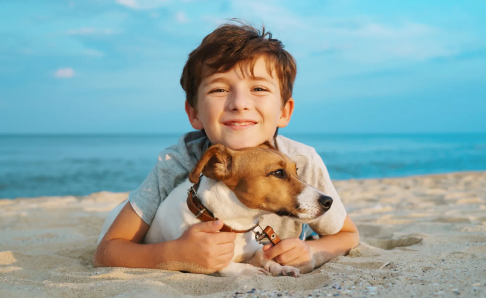 Boy Hugging a Dog at the Beach Boy Hugging a Dog at the Beach