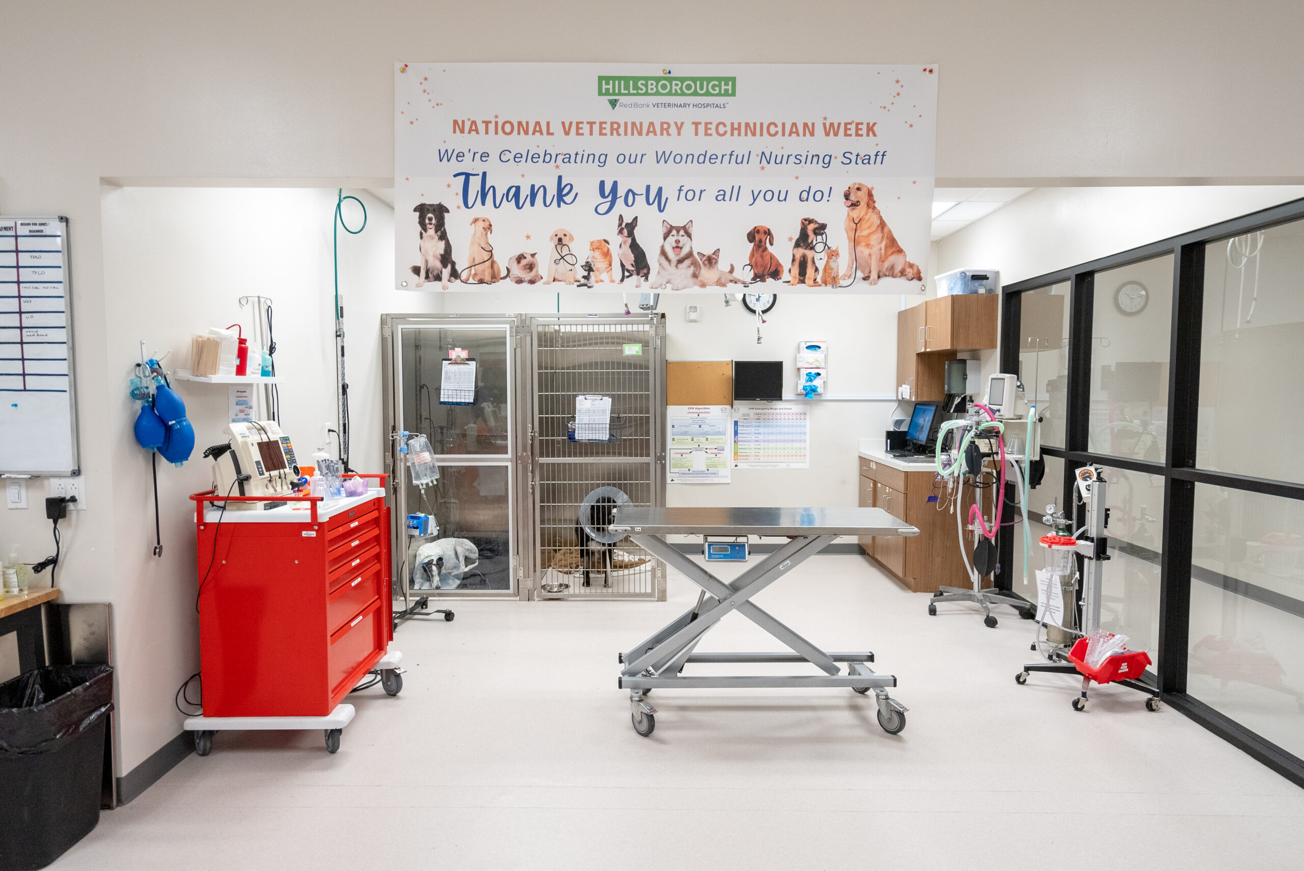 Red Bank Veterinary Hospital Hillsborough facility