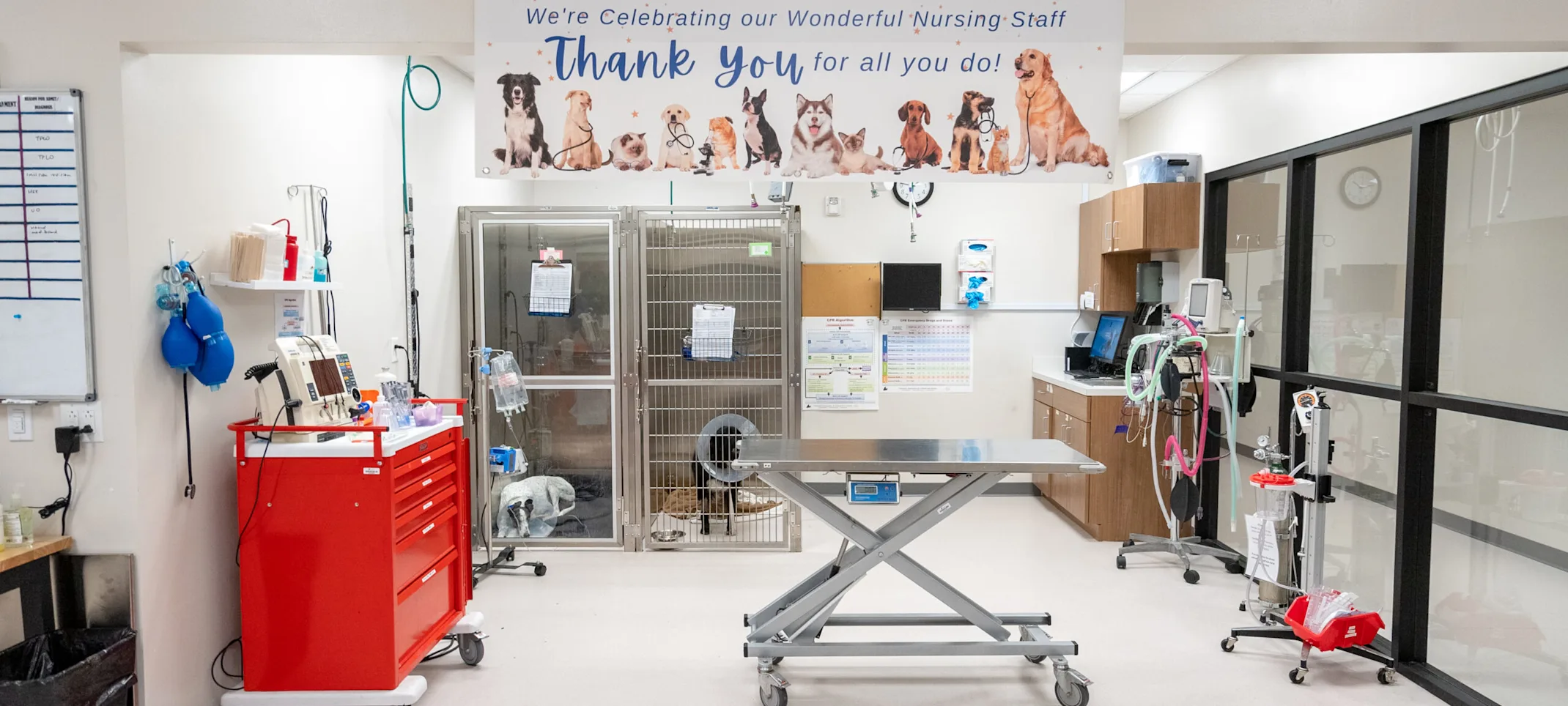 Red Bank Veterinary Hospital Hillsborough facility Red Bank Veterinary Hospital Hillsborough facility