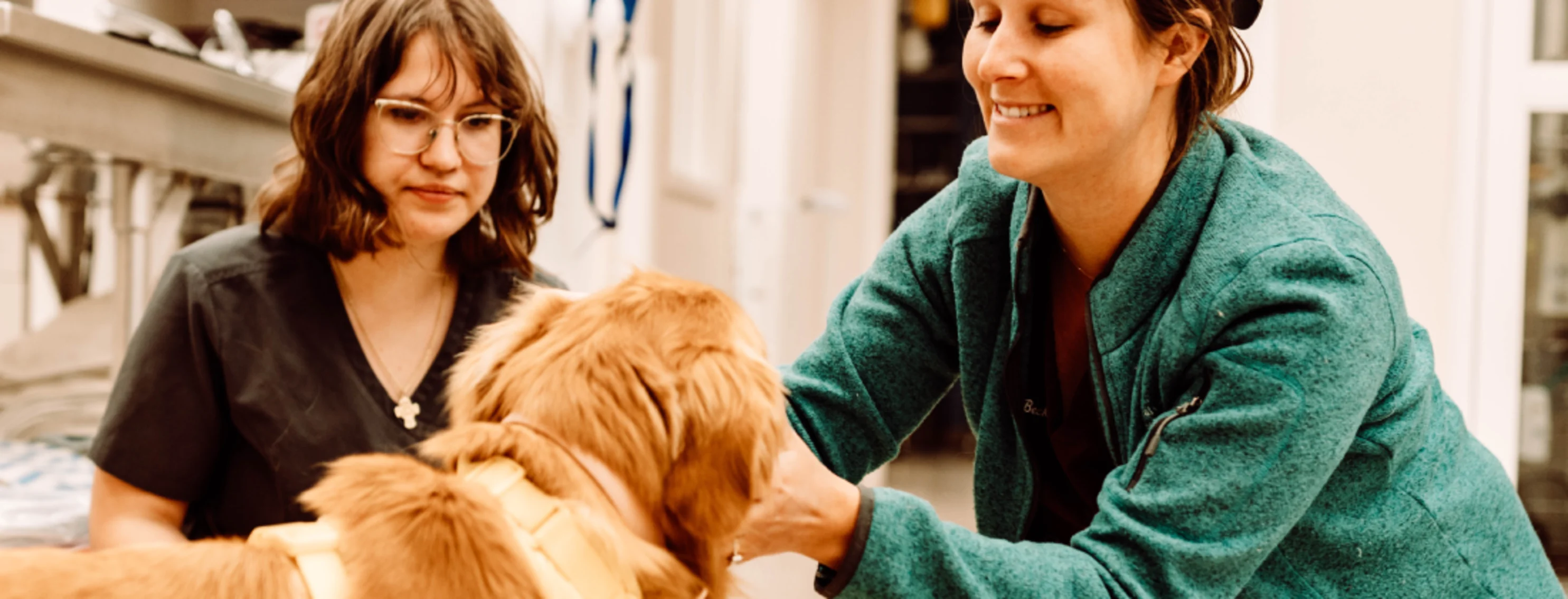 Two veterinarians petting a dog 