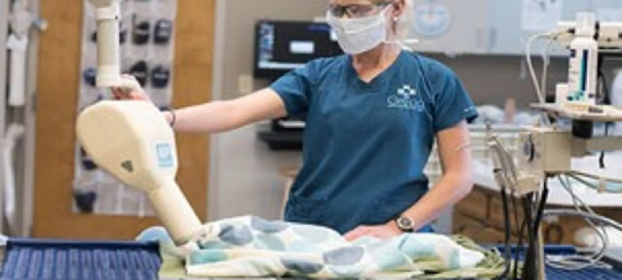Staff member is giving an dental x-ray exam on an animal. Staff member is giving an dental x-ray exam on an animal.