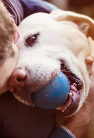 man hugging dog with ball man hugging dog with ball