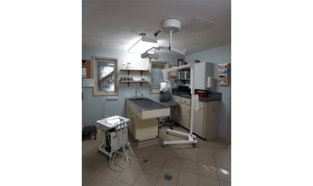 Princess Anne Veterinary Hospital Exam Area