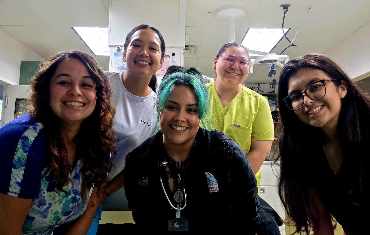 Our Staff: Jazzmine, Crystal, Brittany, Elysia, & Amaya