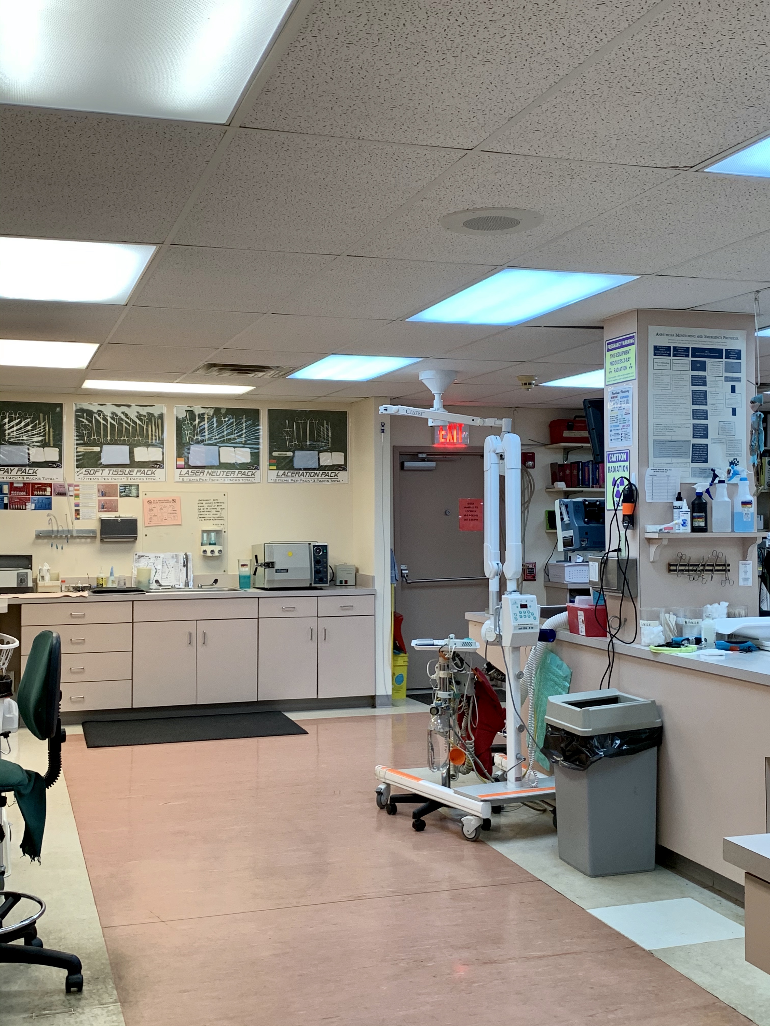 Surgery Area at Camboro Veterinary Hospital 