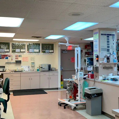 Surgery Area at Camboro Veterinary Hospital Surgery Area at Camboro Veterinary Hospital