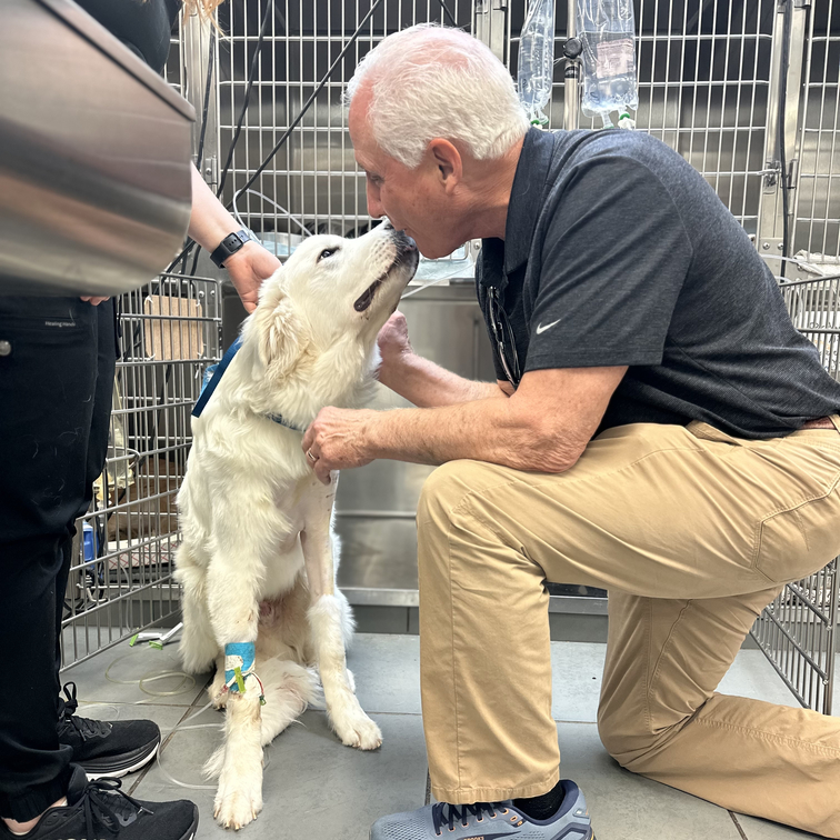 Dr. Mayfield Jr. Giving a Dog Kisses