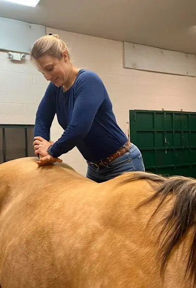 Staff member performing chiropractic services on a horse Staff member performing chiropractic services on a horse
